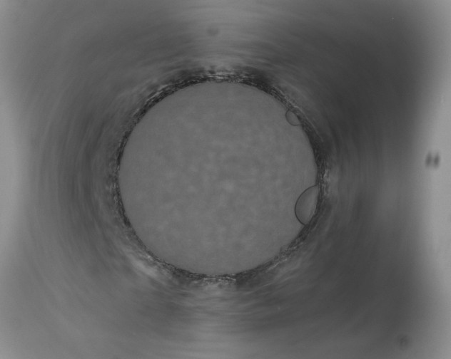 X0000113610865200910021802