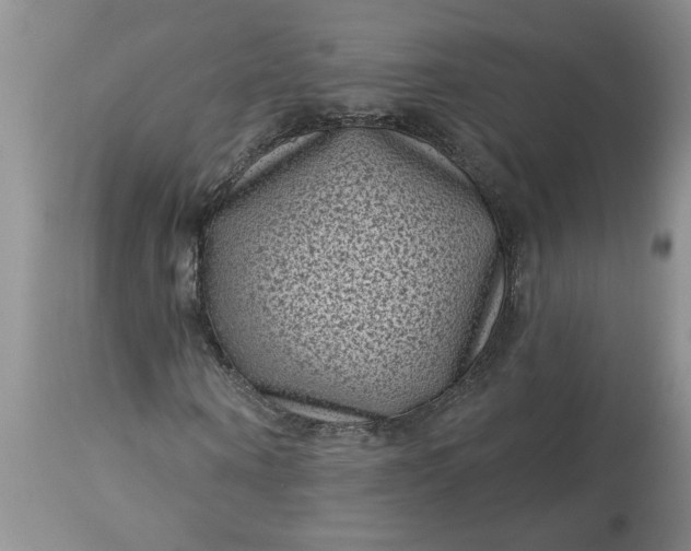 X0000113610866200910021802