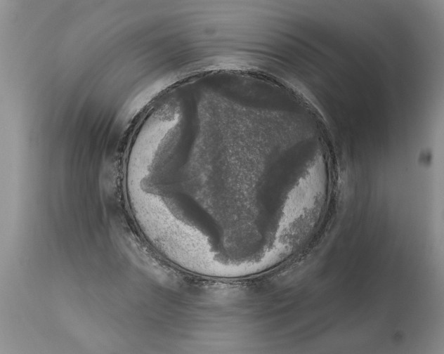 X0000113610874200910021802