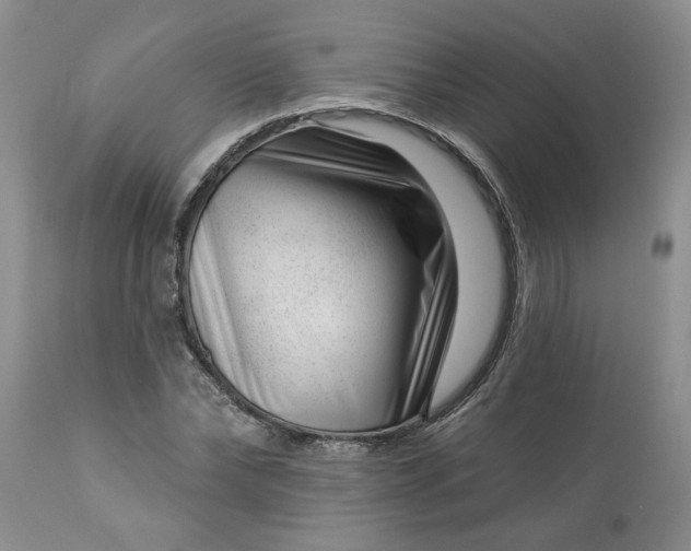 X0000113610878200910021802