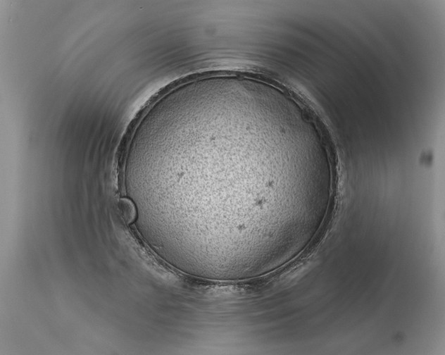 X0000113610883200910021802