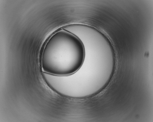 X0000113610884200910021802