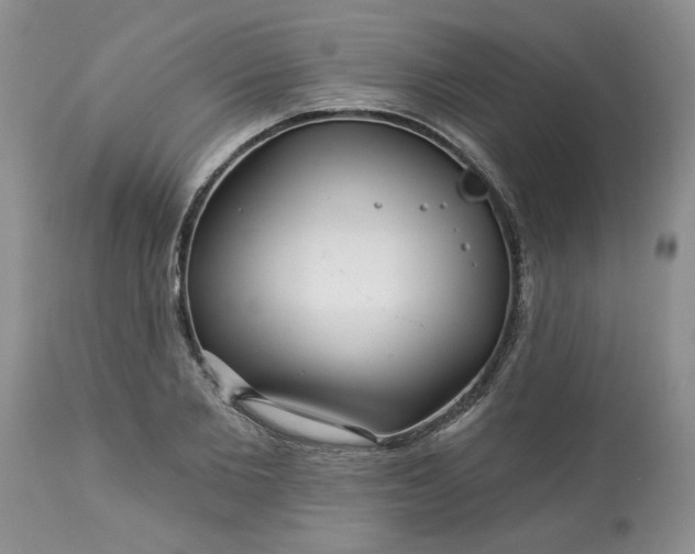 X0000113610885200910021802