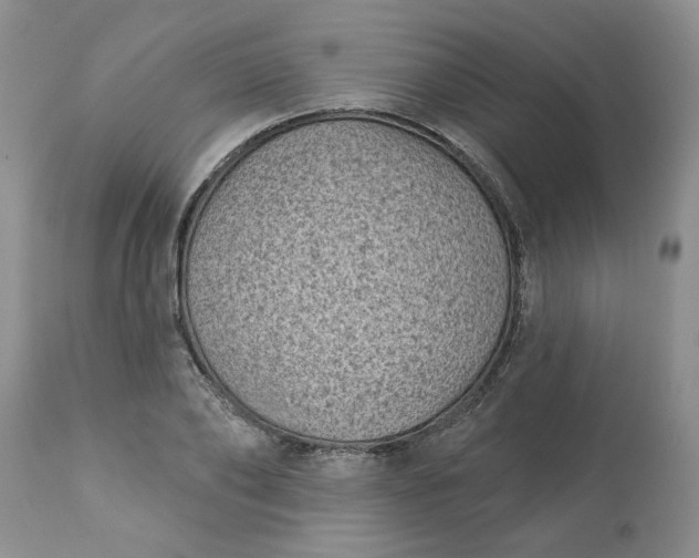 X0000113610886200910021802