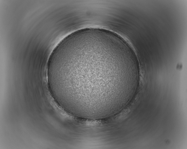 X0000113610887200910021802