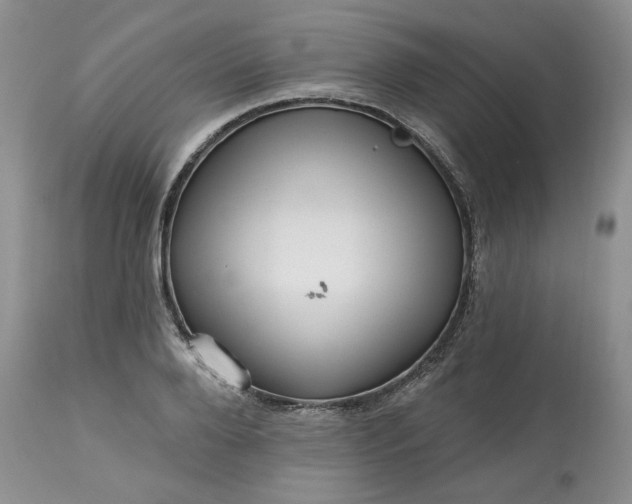 X0000113610888200910021802