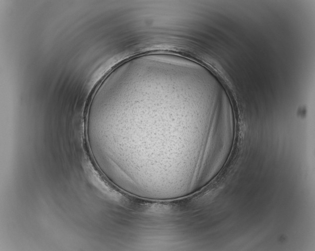 X0000113610890200910021802