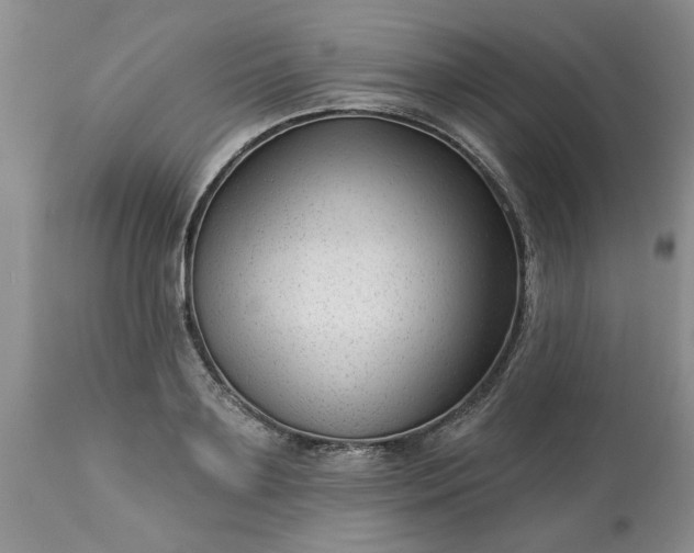 X0000113610891200910021802