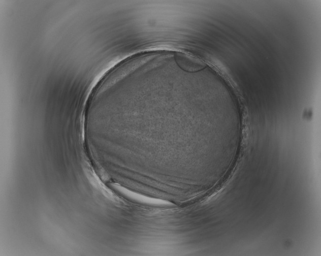 X0000113610892200910021802