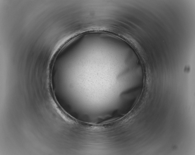 X0000113610894200910021801