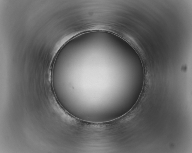 X0000113610900200910021801