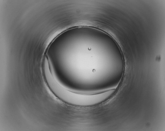 X0000113610901200910021801