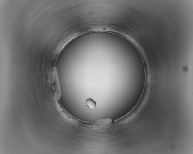 X0000113610905200910021801