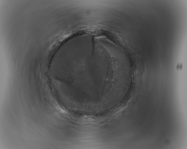 X0000113610913200910021801