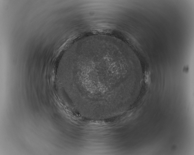 X0000113610915200910021801