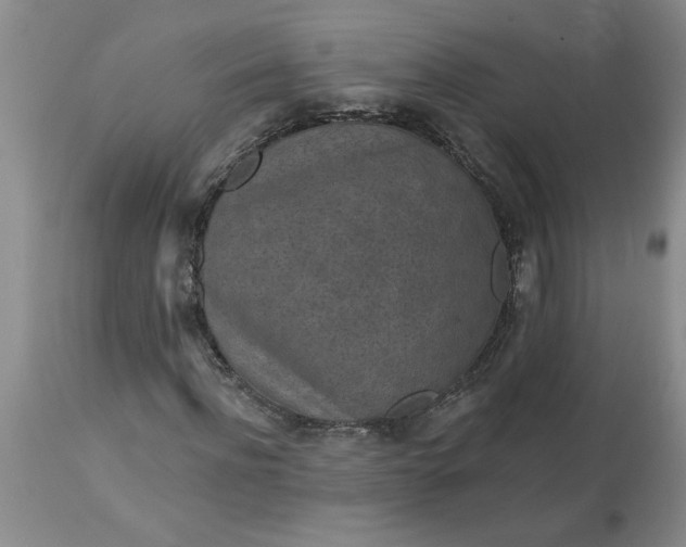 X0000113610916200910021801