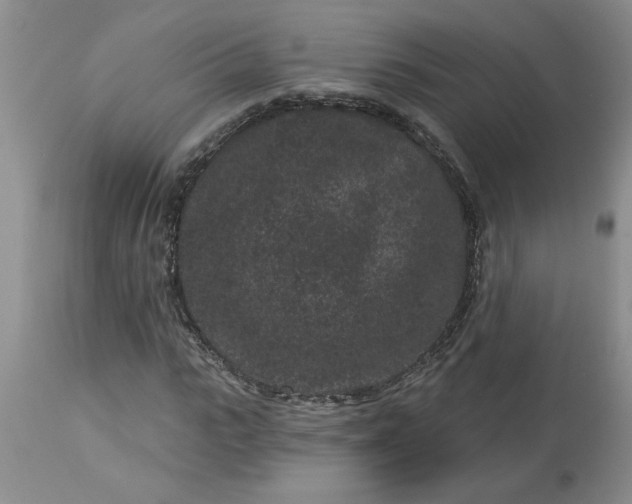 X0000113610919200910021801