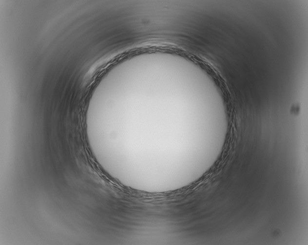 X0000113610920200910021801