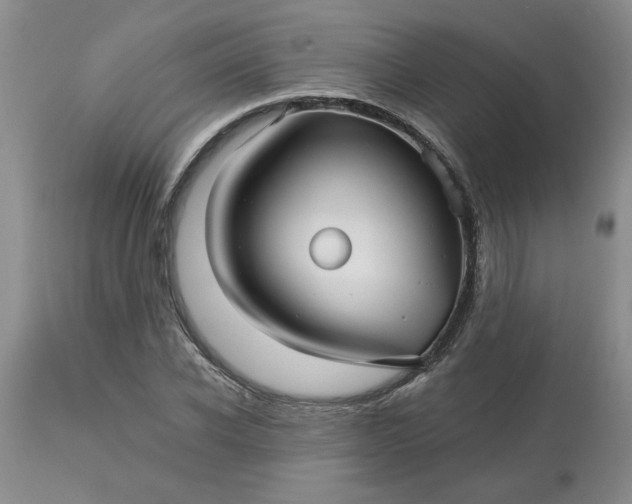 X0000113610926200910021801