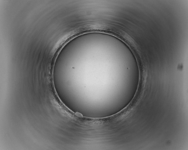 X0000113610930200910021801