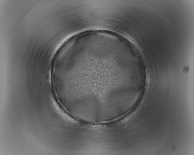 X0000113610934200910021801