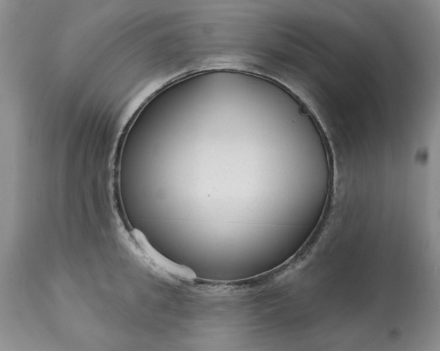 X0000113610949200910021801