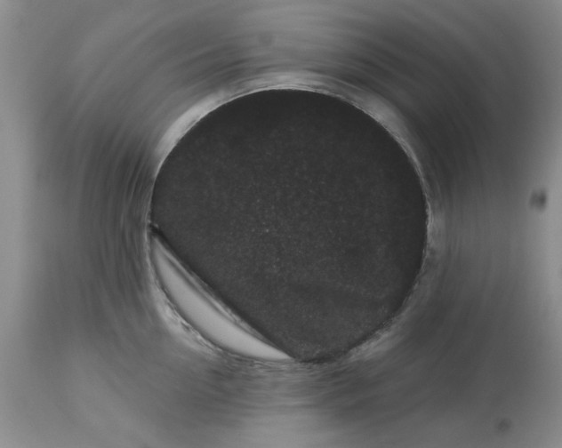 X0000113610954200910021801