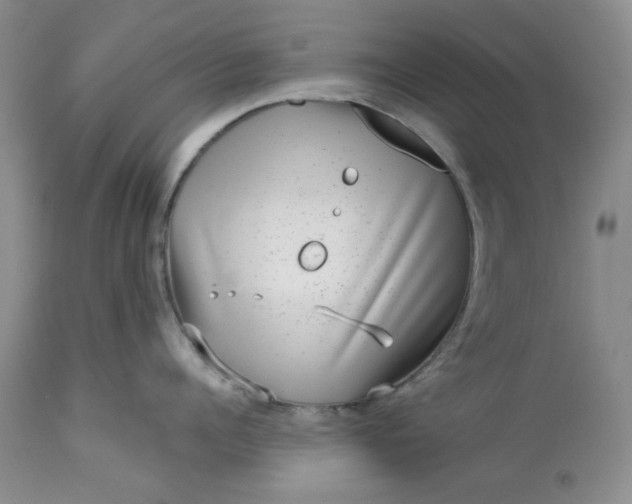 X0000113610960200910021801