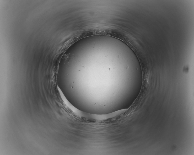 X0000113610964200910021800