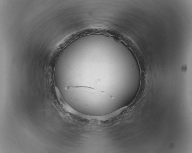 X0000113610968200910021800