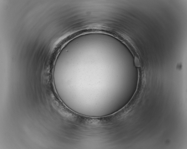 X0000113610971200910021800