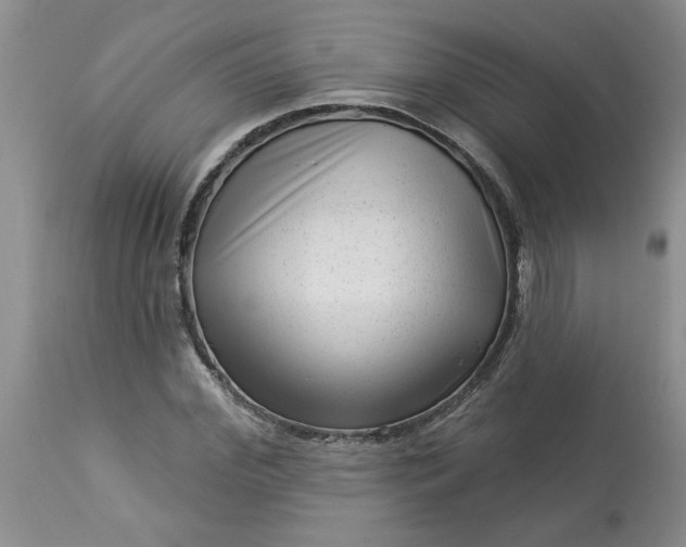 X0000113610972200910021800