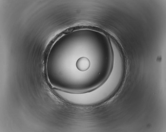 X0000113610973200910021800