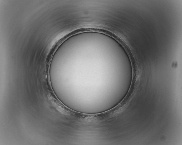 X0000113610974200910021800