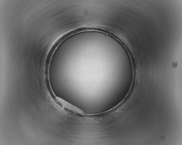 X0000113610976200910021800