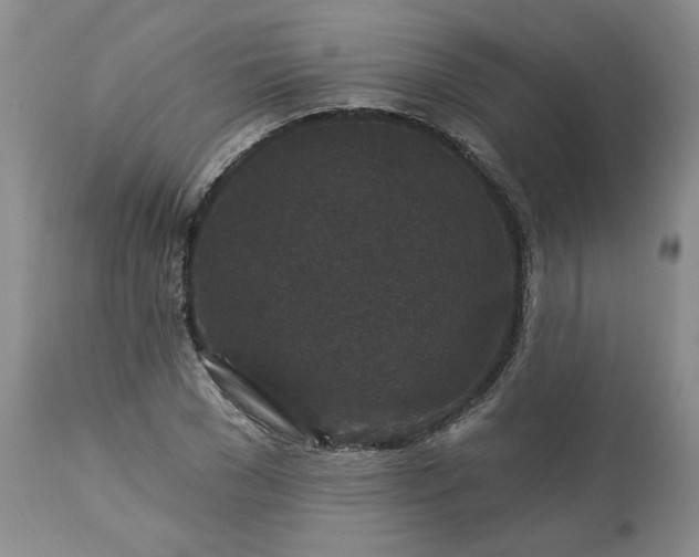 X0000113610977200910021800