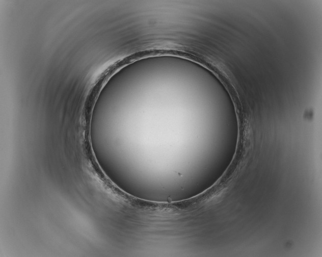 X0000113610979200910021800