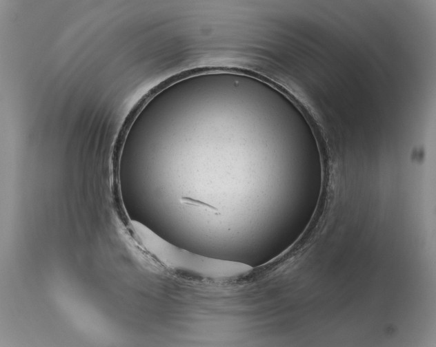 X0000113610980200910021800