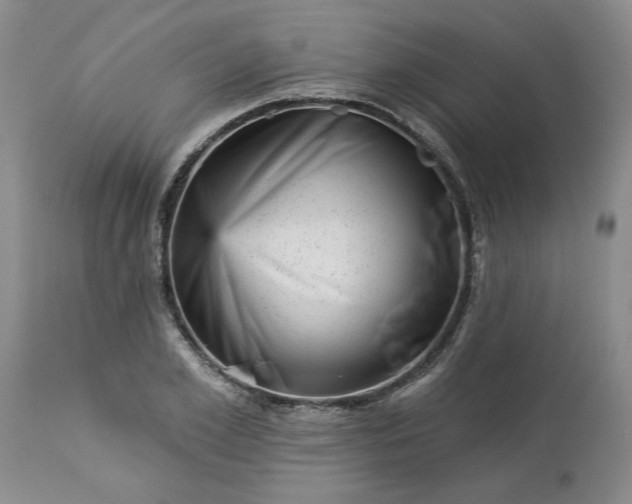 X0000113610981200910021800