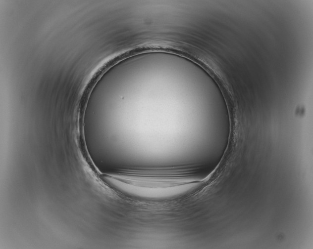 X0000113610984200910021800