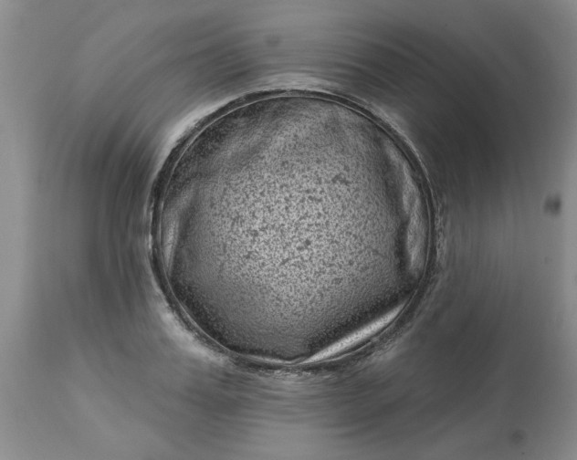 X0000113610987200910021800