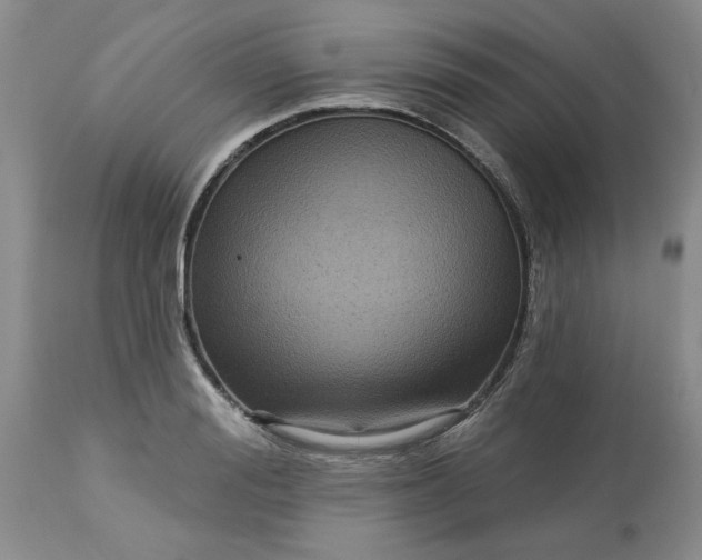 X0000113610988200910021800