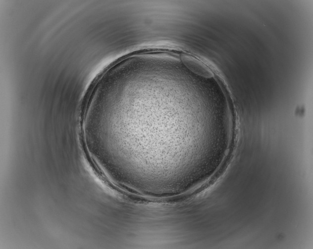 X0000113610989200910021800