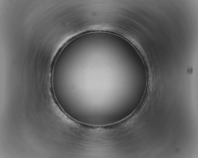 X0000113610992200910021800