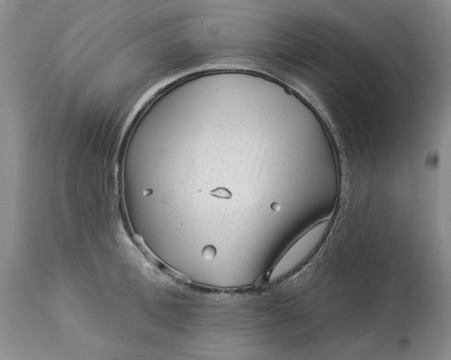 X0000113610996200910021800