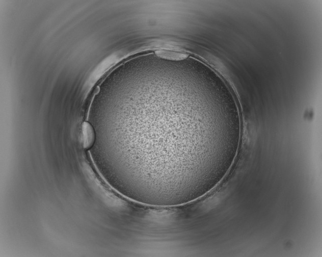 X0000113610997200910021800