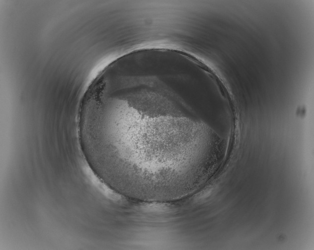 X0000113610998200910021800