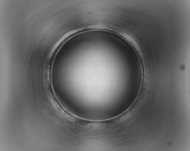 X0000113611000200910021800