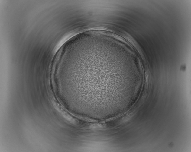 X0000113611002200910021800