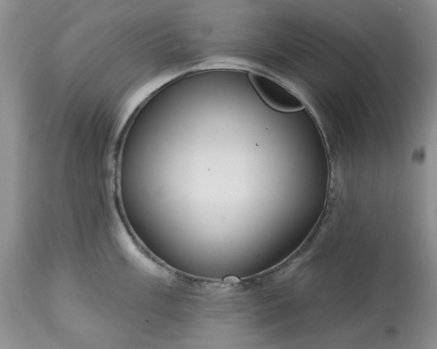 X0000113611003200910021800